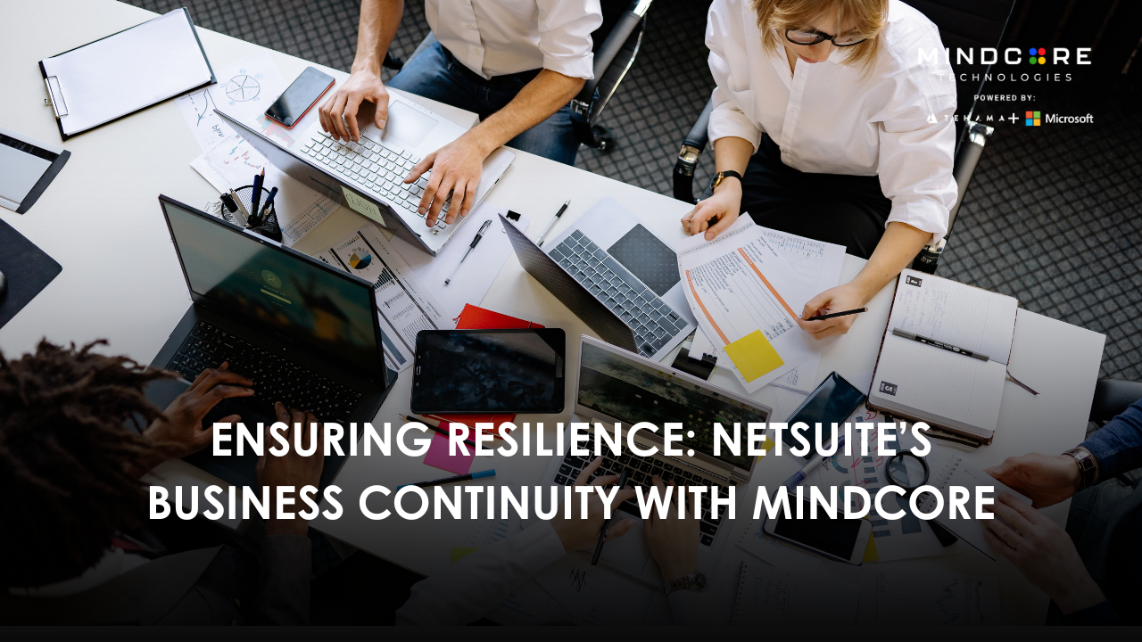 NetSuite Business Continuity & Disaster Recovery 1 1750965799067